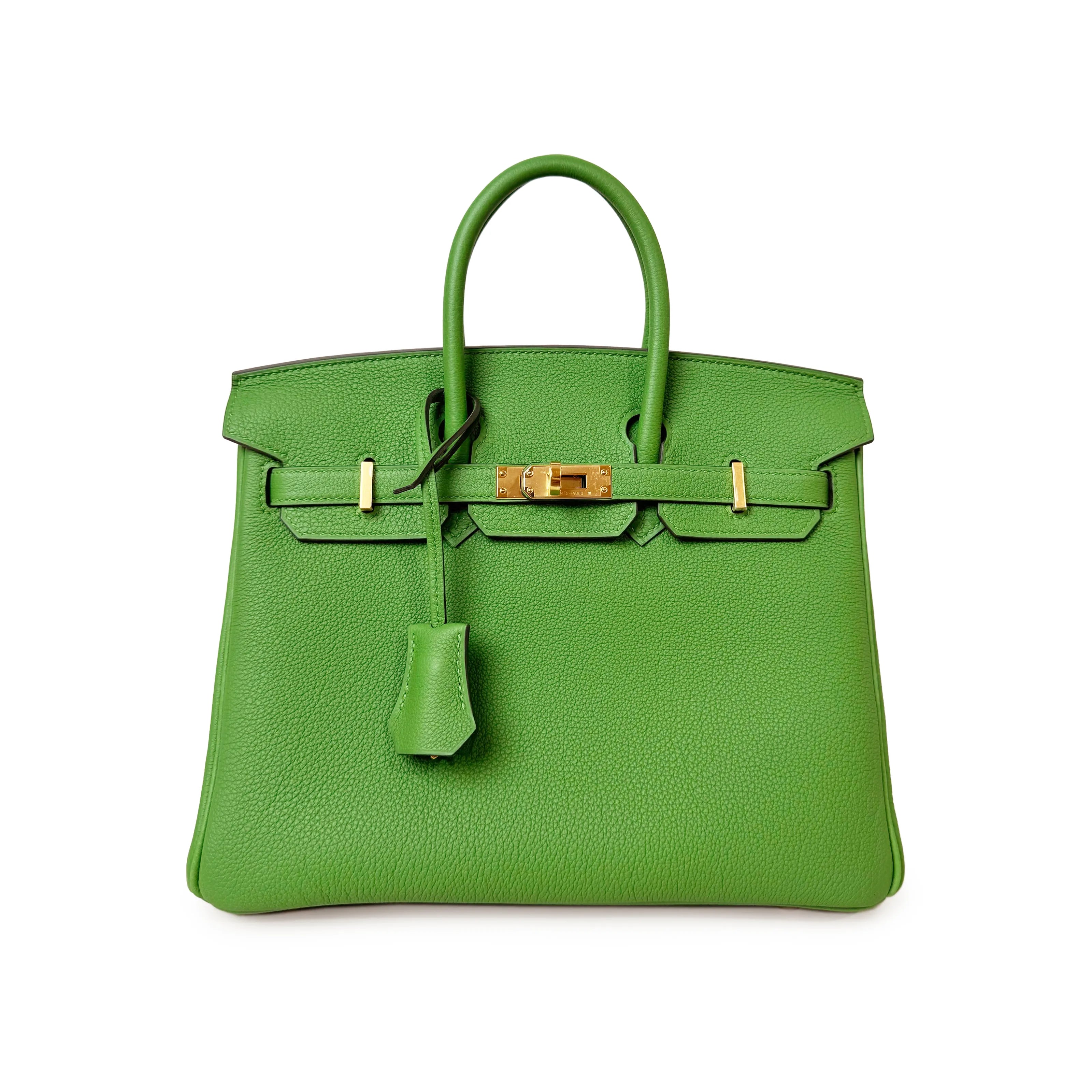 Hermès Birkin 25 Vert Yucca Togo GHW